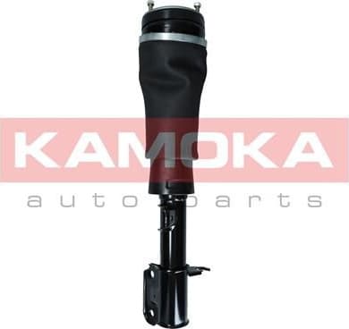 Air Suspension Strut 2070021 - image 2