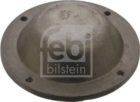 Protection Lid, wheel hub 43768