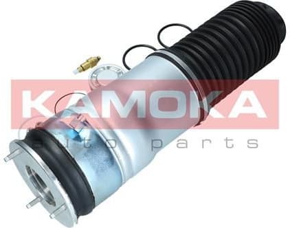 Air Spring, suspension 2079020 - image 3