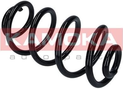 Coil spring 2120304 - image 6