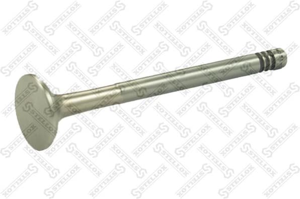 Exhaust Valve 01-24051-SX