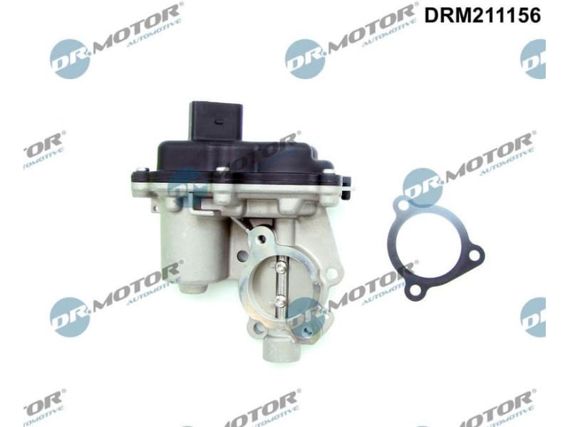EGR Valve DRM211156