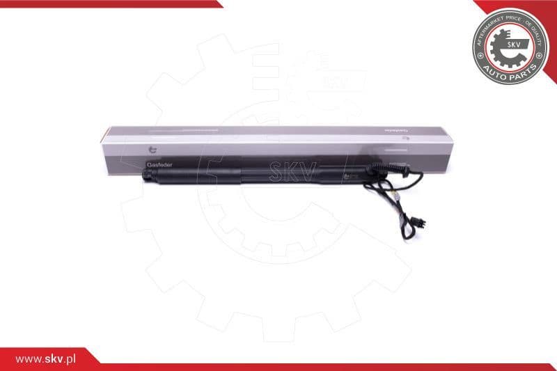 Electric Motor, tailgate 52SKV927