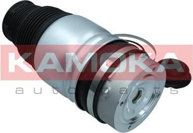 Air Spring, suspension 2079008