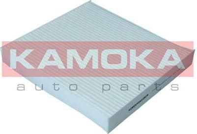 Filter, cabin air F423001