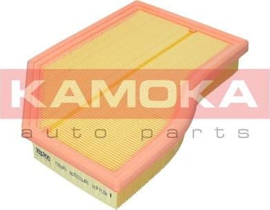 Air Filter F255801 - image 2