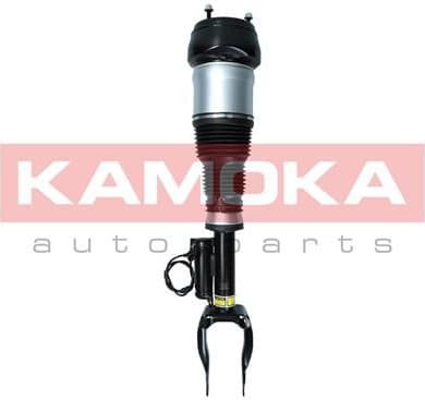Air Suspension Strut 2070003