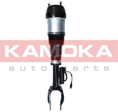 Air Suspension Strut 2070003 - image 2