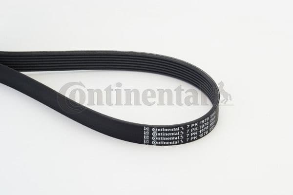 V-ribbed Belt 7PK1970