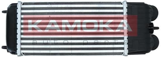 Charge Air Cooler 7750068 - image 2