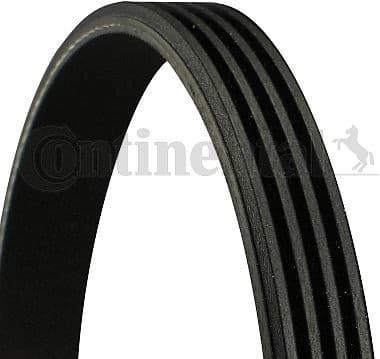 V-ribbed Belt 4PK885 ELAST