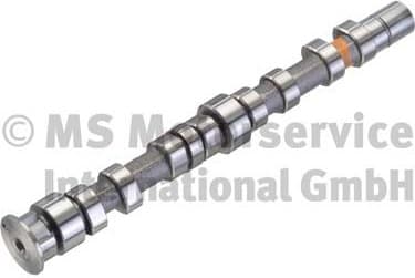 Camshaft 50007039