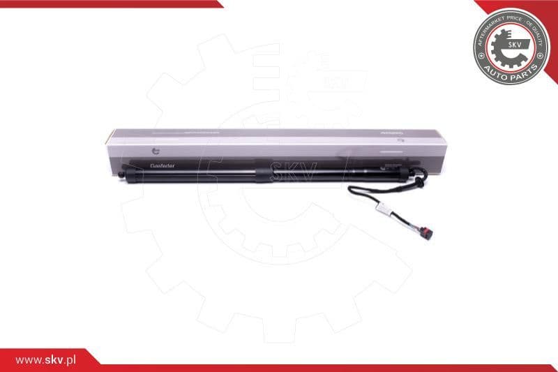 Electric Motor, tailgate 52SKV909