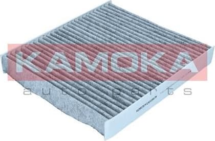 Filter, cabin air F521201