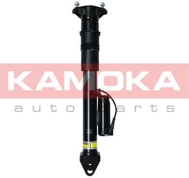 Air Suspension Strut 2070017
