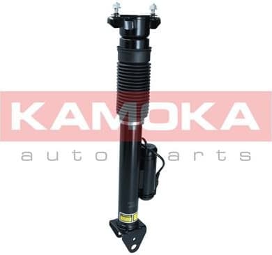 Air Suspension Strut 2070018 - image 2