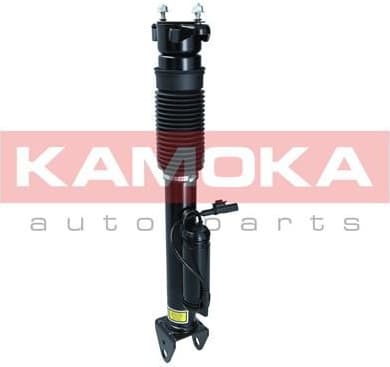Air Suspension Strut 2070018 - image 3