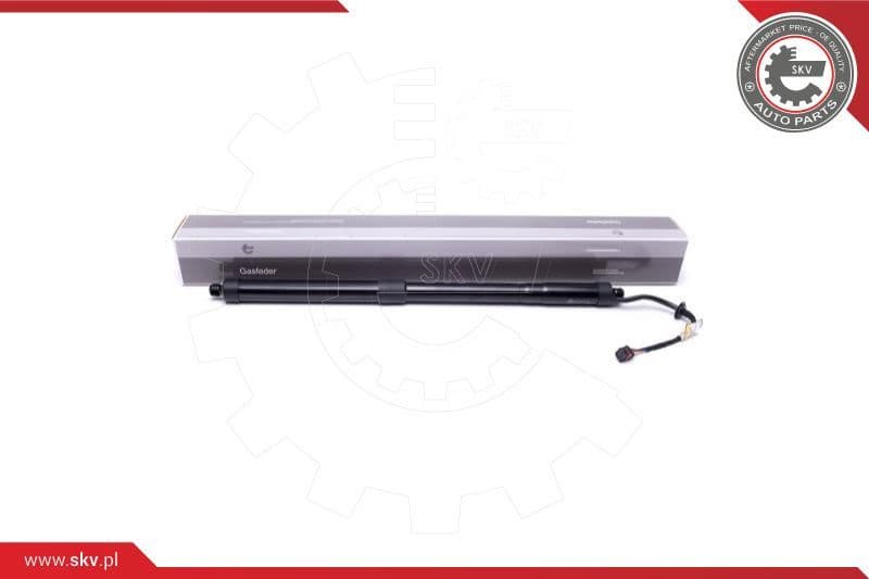 Electric Motor, tailgate 52SKV920