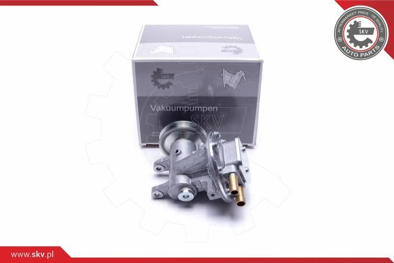 Vacuum Pump, braking system 18SKV037