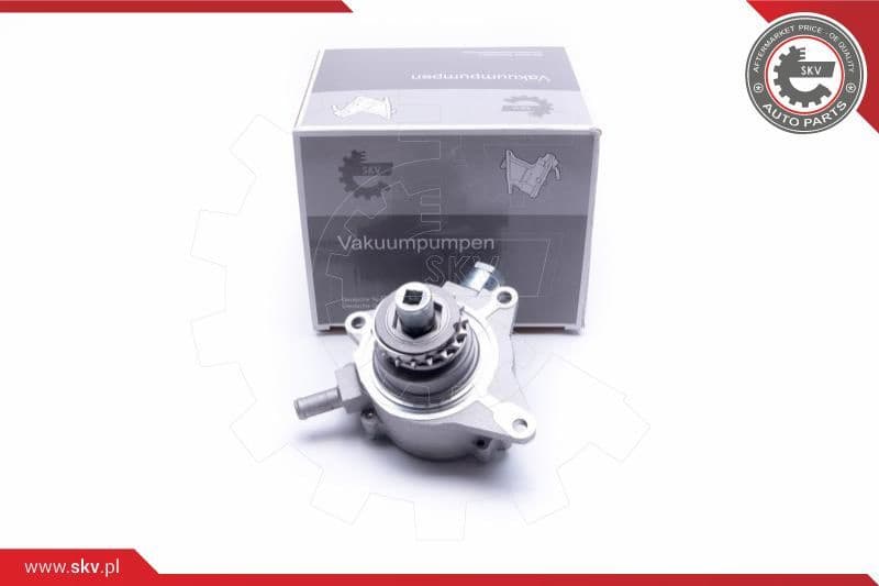 Vacuum Pump, braking system 18SKV040