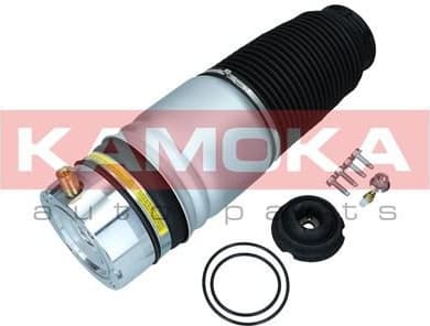 Air Spring, suspension 2079009