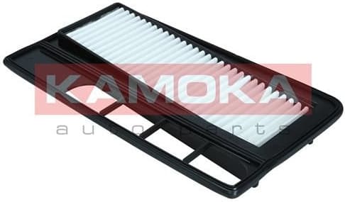 Air Filter F253701 - image 4