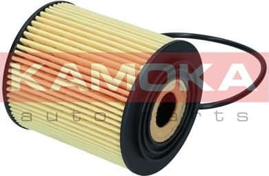 Oil Filter F121901 - image 4