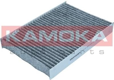 Filter, cabin air F521101