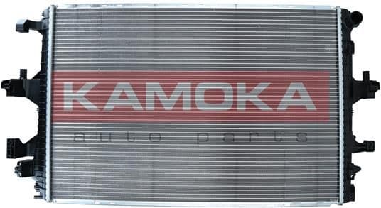 Radiator, engine cooling 7700028