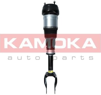 Air Suspension Strut 2070002