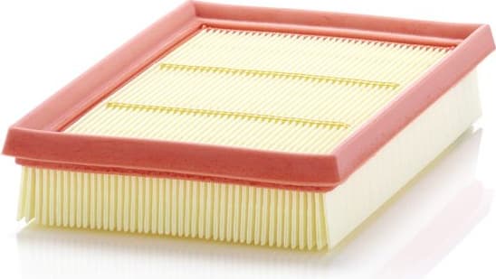 Air Filter C 24 076