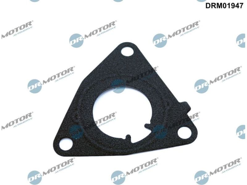 Gasket, vacuum pump DRM01947