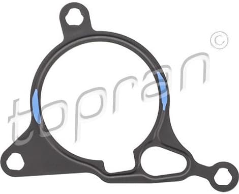 Gasket, vacuum pump 115 262