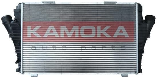 Charge Air Cooler 7750103 - image 2