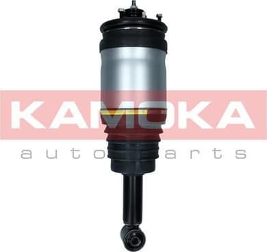 Air Suspension Strut 2070026