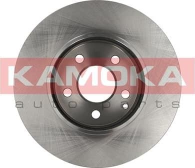 Brake discs kit front (2pcs) 1031071 - image 2