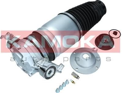 Air Spring, suspension 2079012