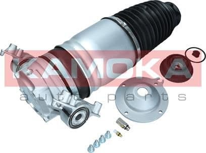 Air Spring, suspension 2079013