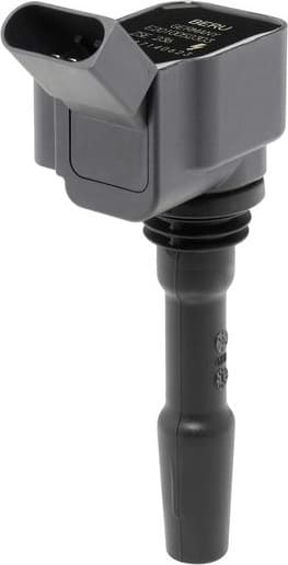 ZSE236 (BorgWarner (BERU))