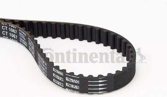 Timing Belt CT1067