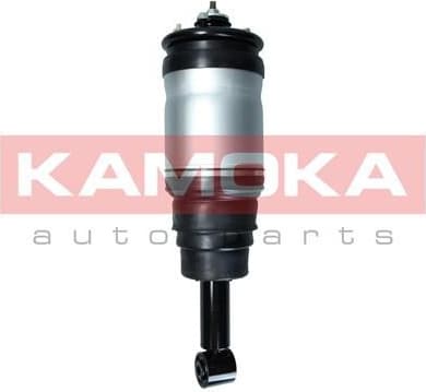 Air Suspension Strut 2070025