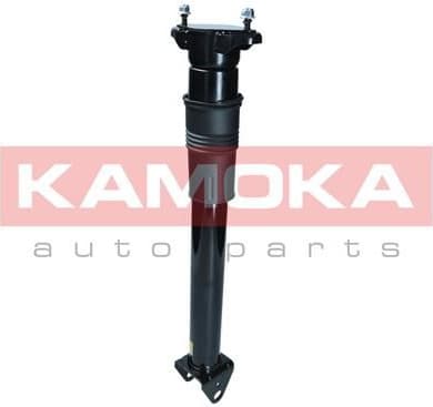 Air Suspension Strut 2070014 - image 2