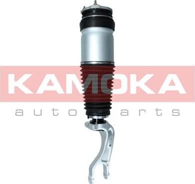 Air Suspension Strut 2070007 - image 2