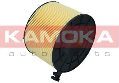 Filter air F254701 - image 2