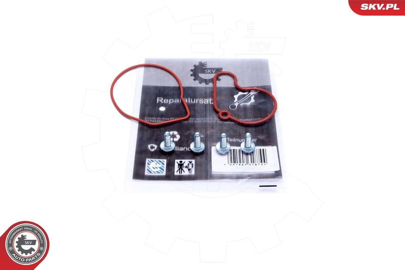 Repair Set, vacuum pump (braking system) 18SKV807