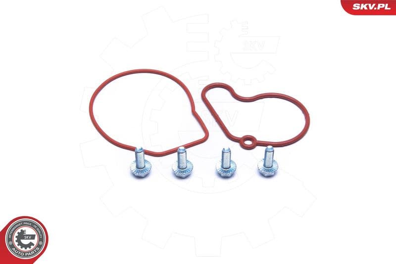 Repair Set, vacuum pump (braking system) 18SKV807 - image 2