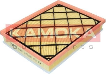 Air Filter F256201