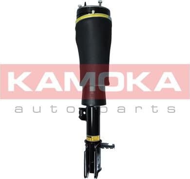 Air Suspension Strut 2070020