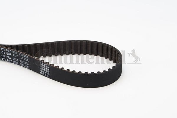 Timing Belt CT887