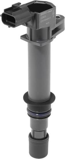 ZS605 (BorgWarner (BERU))